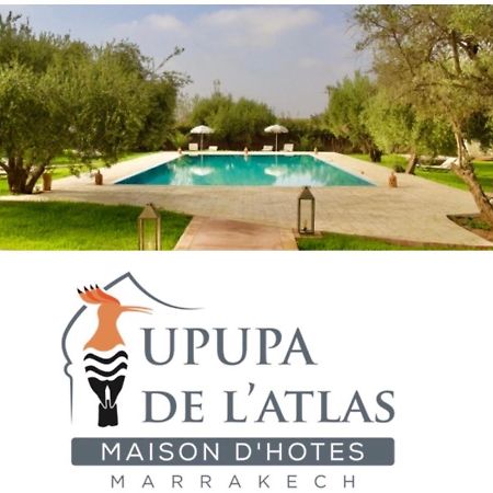 Upupa De L'Atlas Oulad el Guern Exterior photo